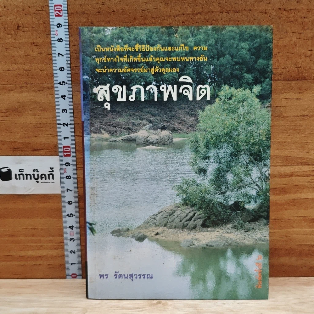 สุขภาพจิต รูปที่ 1
