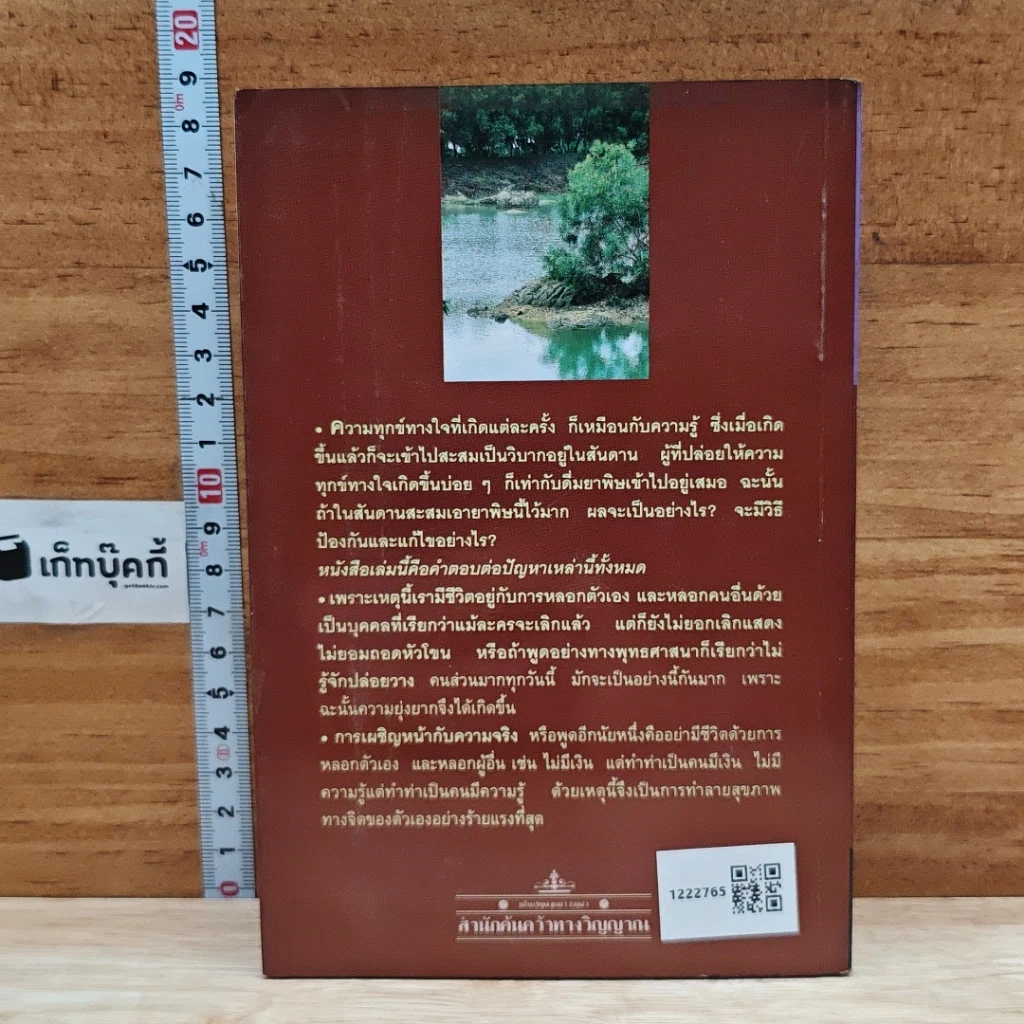 สุขภาพจิต รูปที่ 2