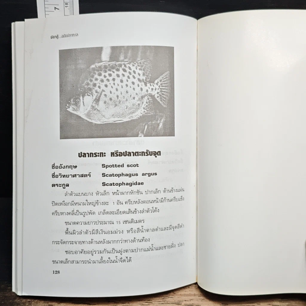 หนังสือ คู่มือสำหรับนักเลี้ยงปลาตู้มือใหม่ ปลาตู้ ฉบับปลาทะเล รูปที่ 9