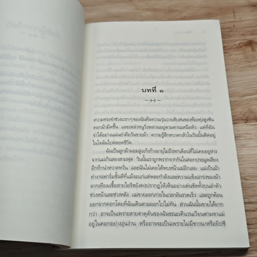 หนังสือ ม้าศึก War Horse รูปที่ 6