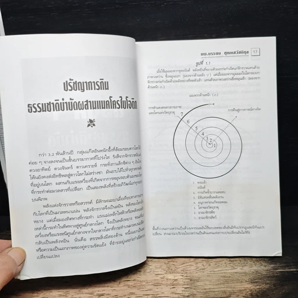 แมคโครไบโอติกไทย รูปที่ 8