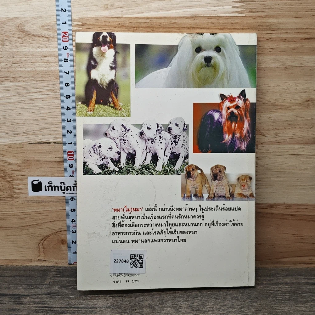 หนังสือ หมา (ไม่) หมา รูปที่ 5