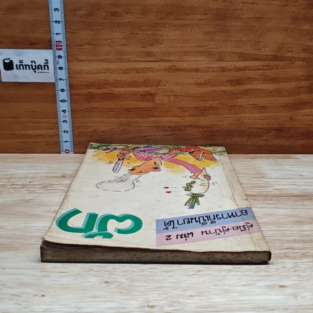 คู่มือ-คู่บ้าน เล่ม 2 ผัก อาหารก็เป็นยาได้ รูปที่ 5