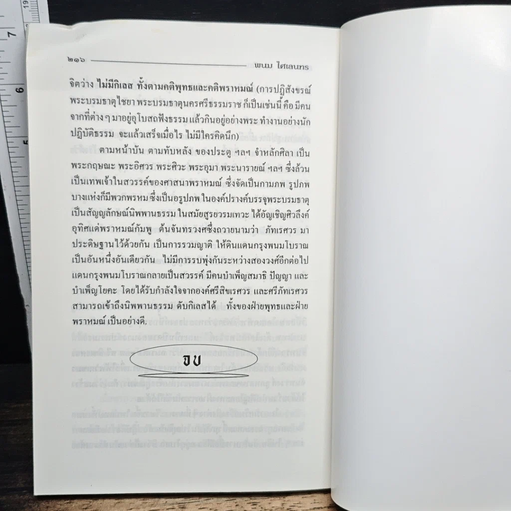 หนังสือ พนม ไศเลนทร ประวัติศาสตร์ไทยก่อนสมัยสุโขทัย รูปที่ 10