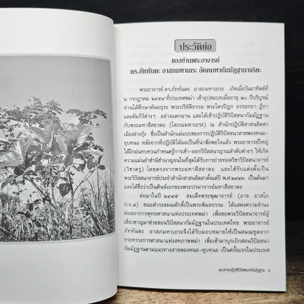 The Practice of Vipassanā Meditation For The Development of Mindfulness รูปที่ 9