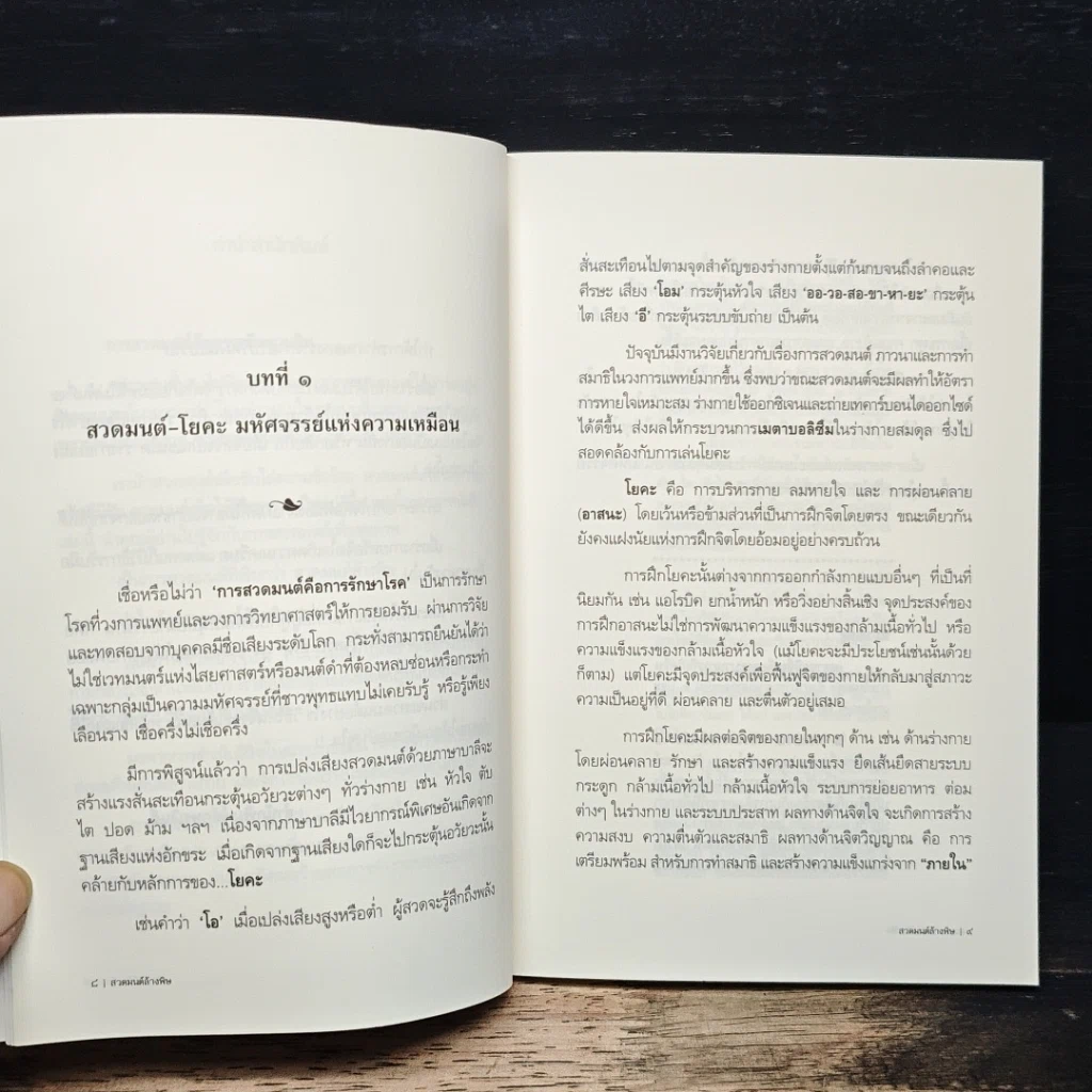 หนังสือ สวดมนต์ล้างพิษ รูปที่ 8