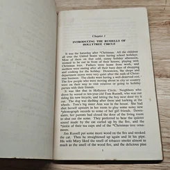 หนังสือ The Russells of Hollytree Circle รูปที่ 6