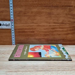 พลังงานดวงอาทิตย์ รูปที่ 3