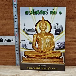 พระโพธิสัตว์ เล่ม 1