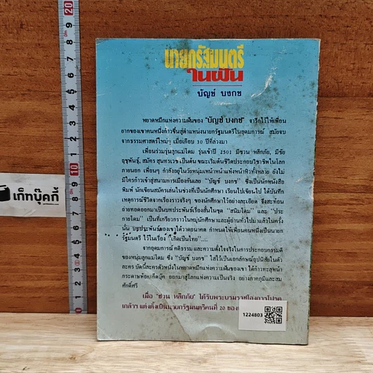 นายกรัฐมนตรีในฝัน รูปที่ 2