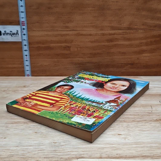 นายกรัฐมนตรีในฝัน รูปที่ 4