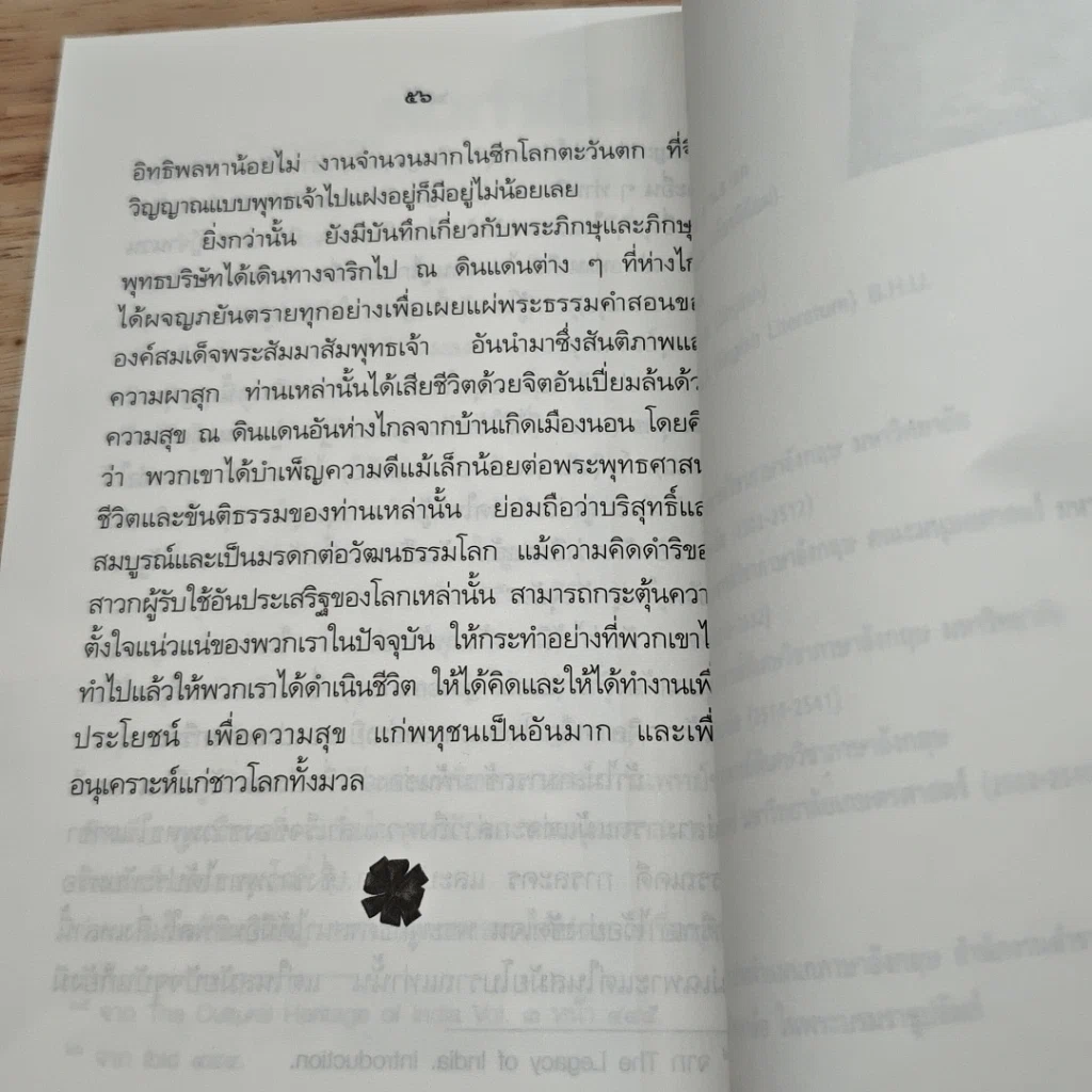 หนังสือ มรดกทางวัฒนธรรมที่พระพุทธศาสนามอบให้แก่โลก รูปที่ 8