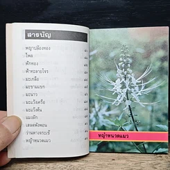 หนังสือ คู่มือสมุนไพรประจำตู้ยา รูปที่ 8