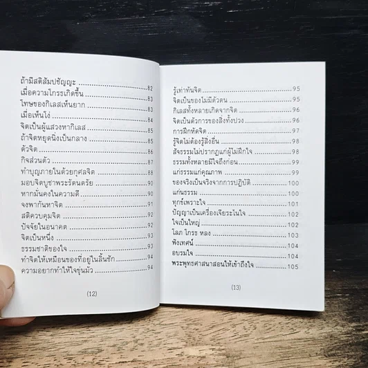 เทสโกวาท 100 ปี รูปที่ 11