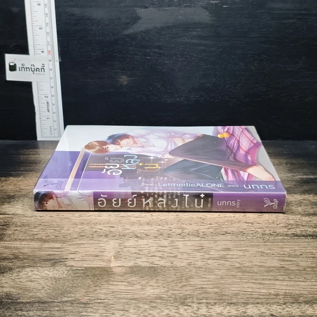 หนังสือ อัยย์หลงไน๋ รูปที่ 3