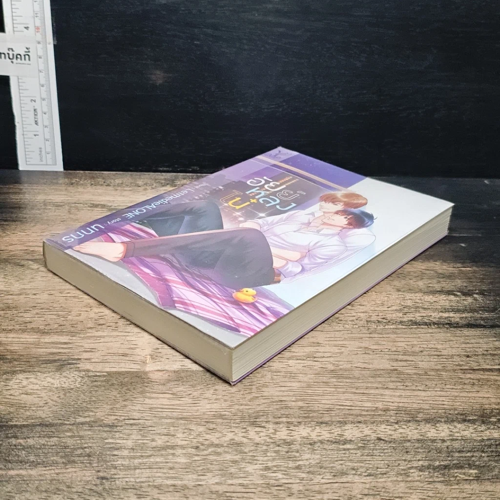 หนังสือ อัยย์หลงไน๋ รูปที่ 4