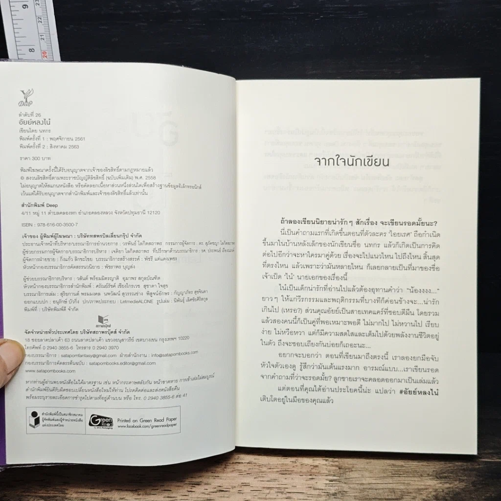 หนังสือ อัยย์หลงไน๋ รูปที่ 6