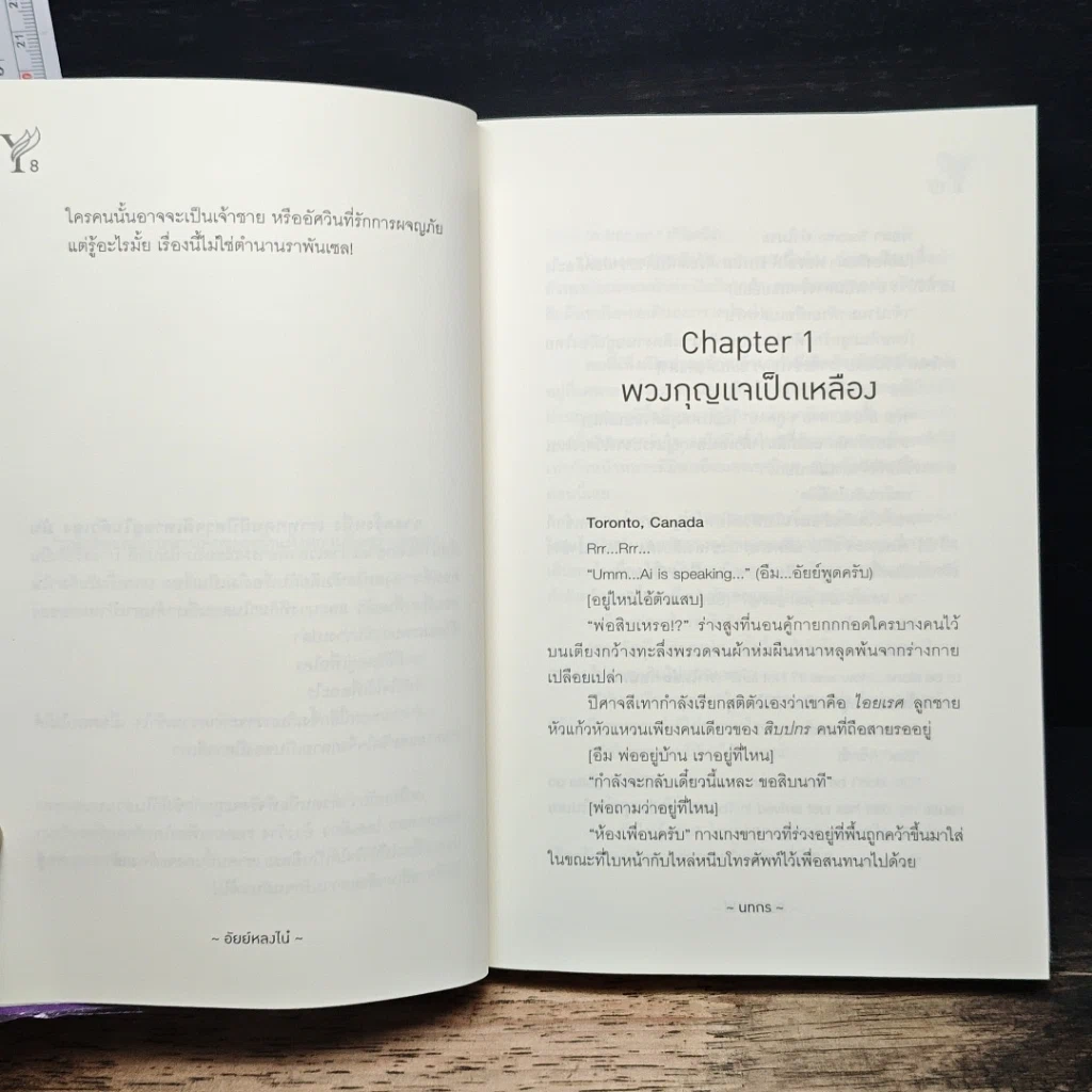หนังสือ อัยย์หลงไน๋ รูปที่ 7