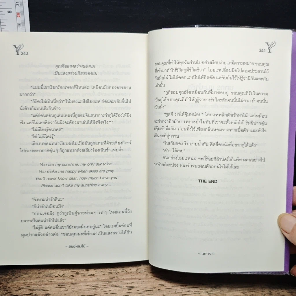 หนังสือ อัยย์หลงไน๋ รูปที่ 9