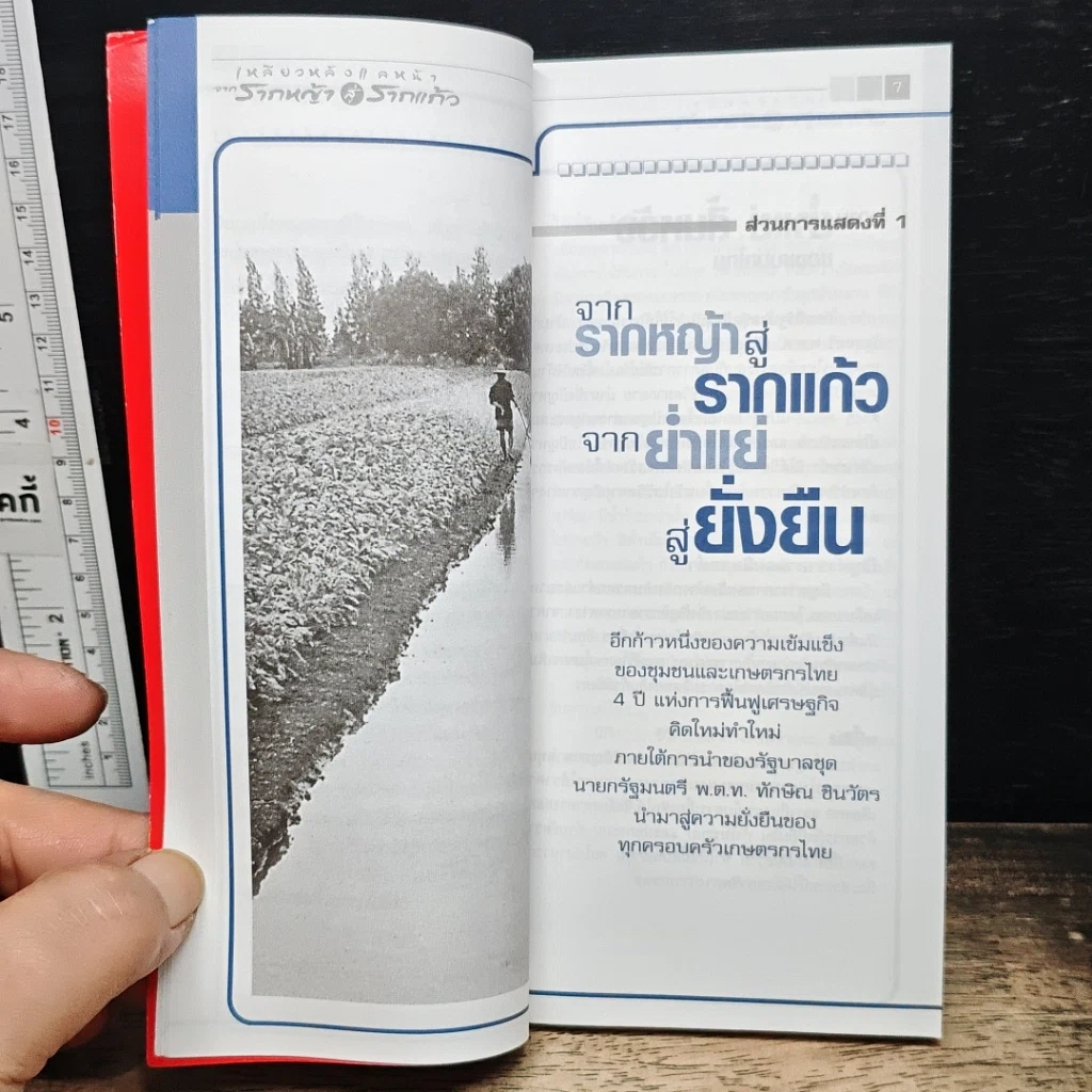 หนังสือ เหลียวหลังแลหน้า จากรากหญ้าสู่รากแก้ว รูปที่ 7