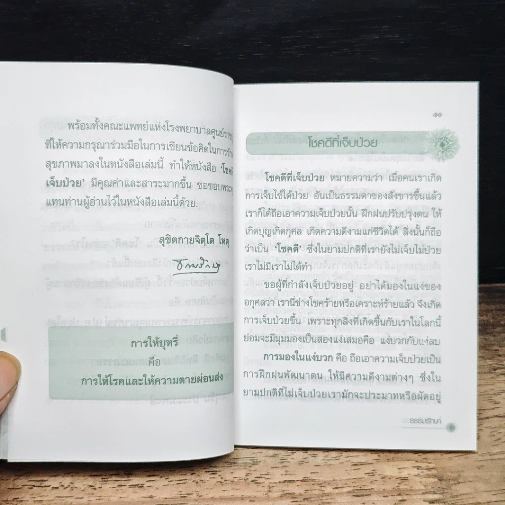 โชคดีที่เจ็บป่วย รูปที่ 8
