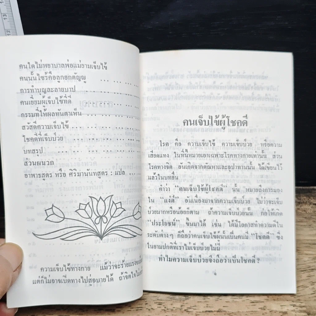 คนเจ็บไข้ ผู้โชคดี รูปที่ 6