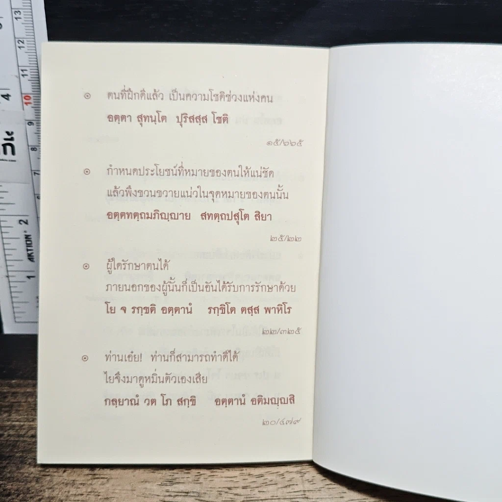 ธรรมะ พระบาทสมเด็จพระเจ้าอยู่หัว รูปที่ 10