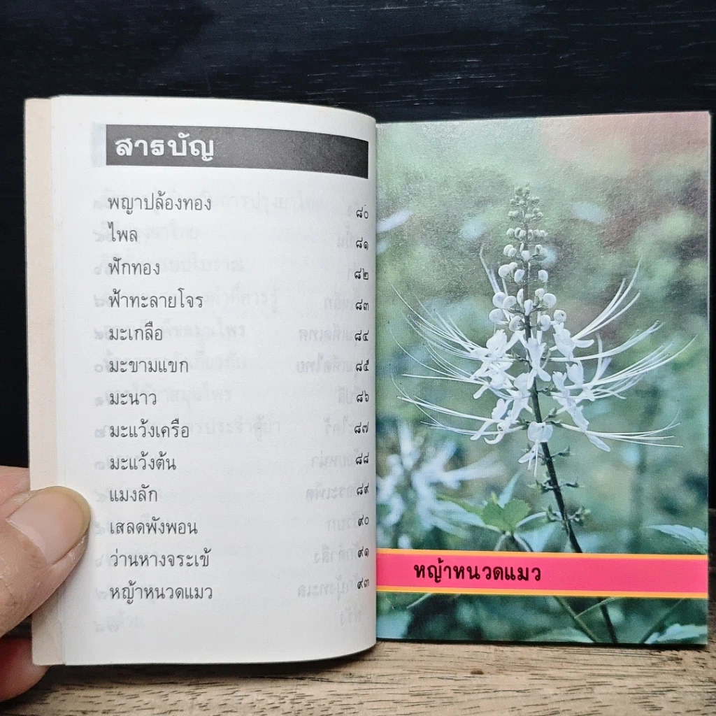 หนังสือ คู่มือสมุนไพรประจำตู้ยา รูปที่ 8