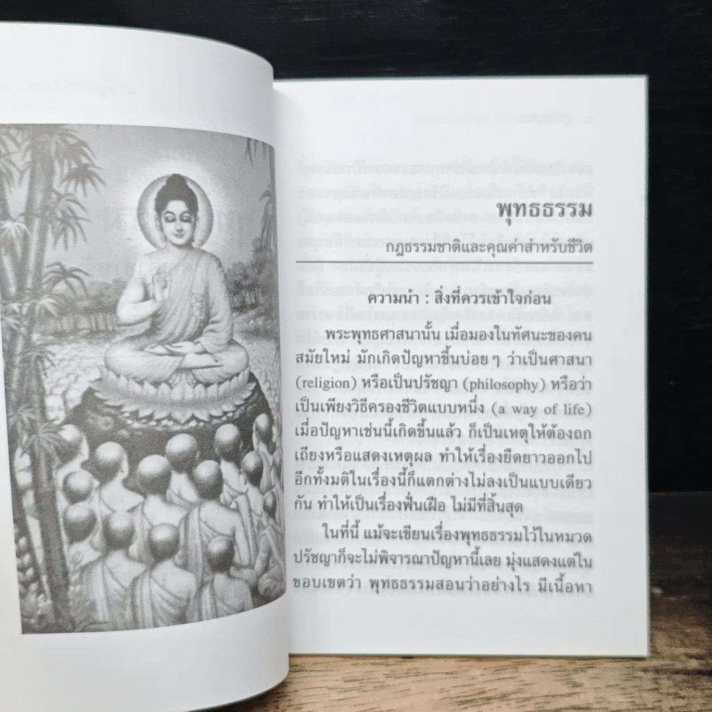 พุทธธรรม สิ่งที่ควรเข้าใจก่อน รูปที่ 7