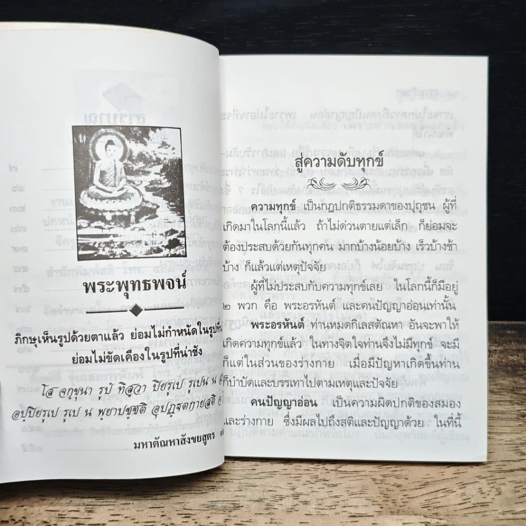 สู่ความดับทุกข์ ชี้ทางออกของคนมีทุกข์ รูปที่ 7