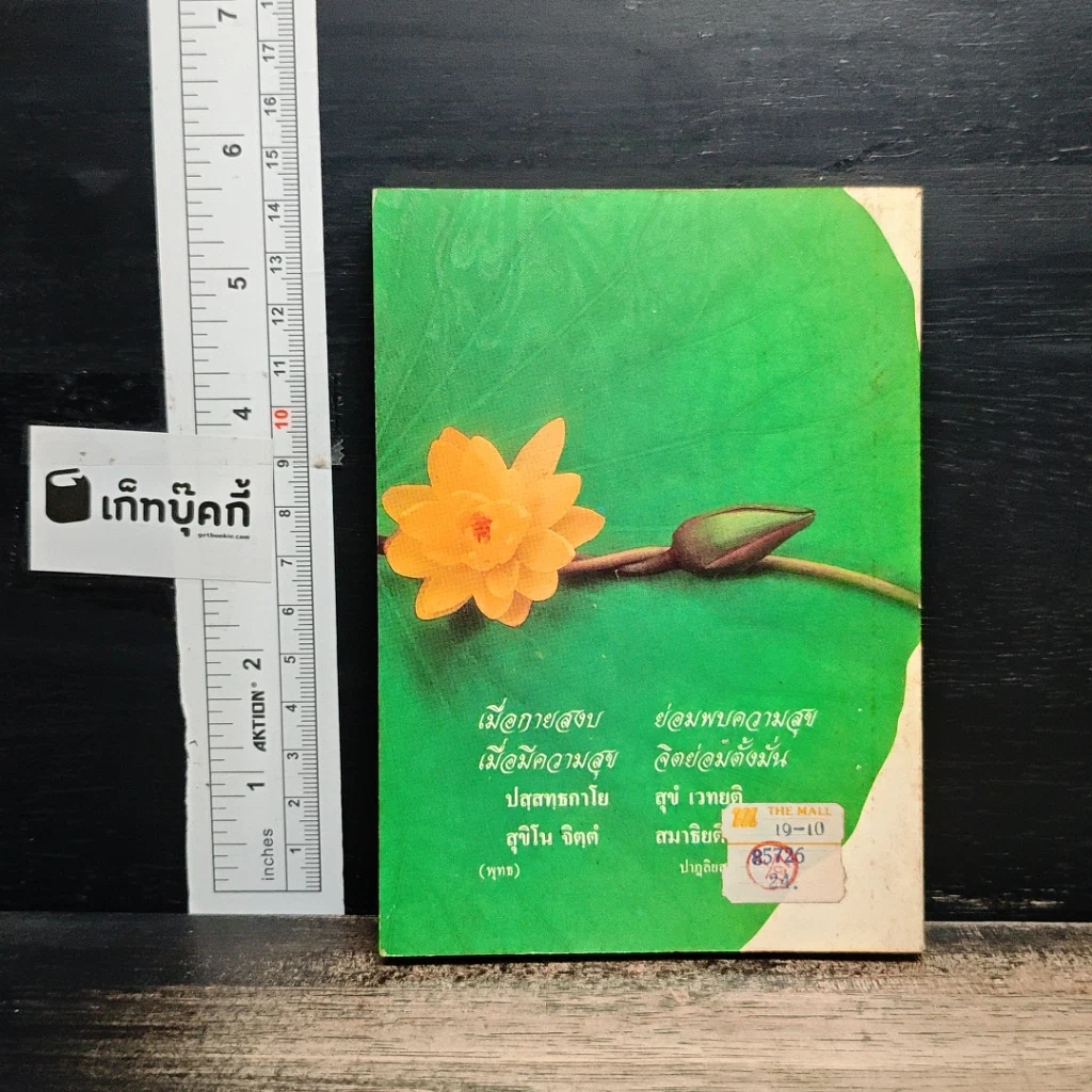 สมาธิภาวนา รูปที่ 2