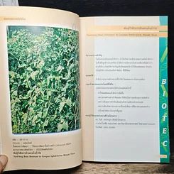 ผลิตภัณฑ์และเทคโนโลยีไหม่ รูปที่ 10