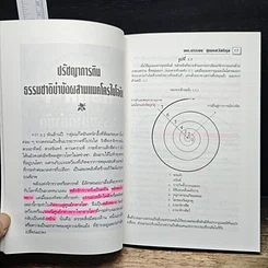 แมคโครไบโอติกไทย ธรรมชาติบำบัดวิถีสุขภาพแนวใหม่ เล่ม 7 รูปที่ 10