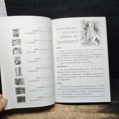 หนังสือ อาหารธรรมชาติผักพื้นเมืองโภชนาการสูงเหลือเชื่อ รูปที่ 9