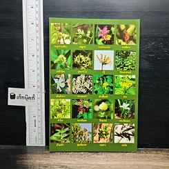 หนังสือ โรคและคำแนะนำ รูปที่ 2
