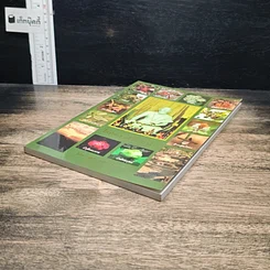 หนังสือ โรคและคำแนะนำ รูปที่ 4