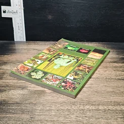 หนังสือ โรคและคำแนะนำ รูปที่ 5
