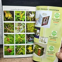 หนังสือ โรคและคำแนะนำ รูปที่ 10