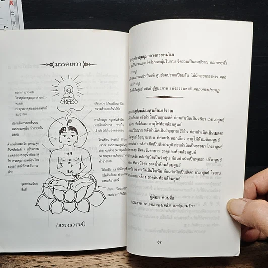 ท่องแดนสุขาวดี รูปที่ 9