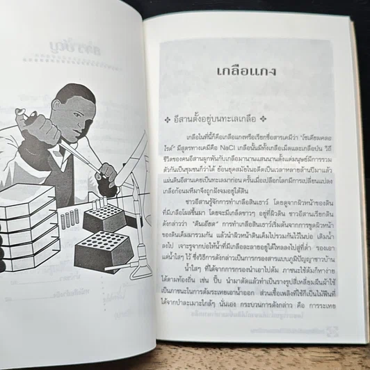การใช้สารเคมีกับวิถีชีวิตของชาวอีสาน รูปที่ 8