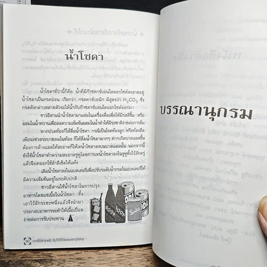 การใช้สารเคมีกับวิถีชีวิตของชาวอีสาน รูปที่ 9