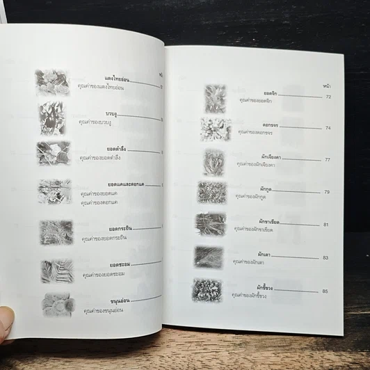 หนังสือ อาหารธรรมชาติผักพื้นเมืองโภชนาการสูงเหลือเชื่อ รูปที่ 7