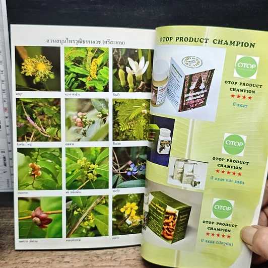 หนังสือ โรคและคำแนะนำ รูปที่ 10