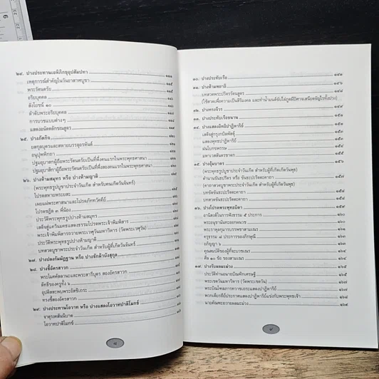 หนังสือ ประวัติพระพุทธรูปปางต่างๆ รูปที่ 9