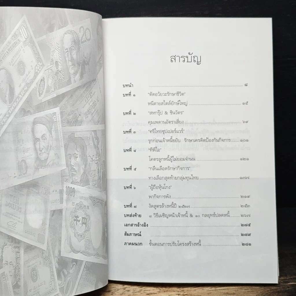 หนังสือ ฝ่าพายุหนี้ รูปที่ 8