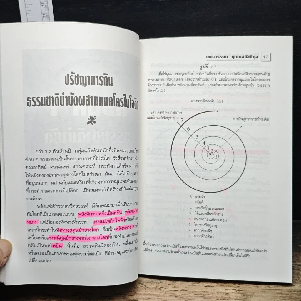 แมคโครไบโอติกไทย ธรรมชาติบำบัดวิถีสุขภาพแนวใหม่ เล่ม 7 รูปที่ 10