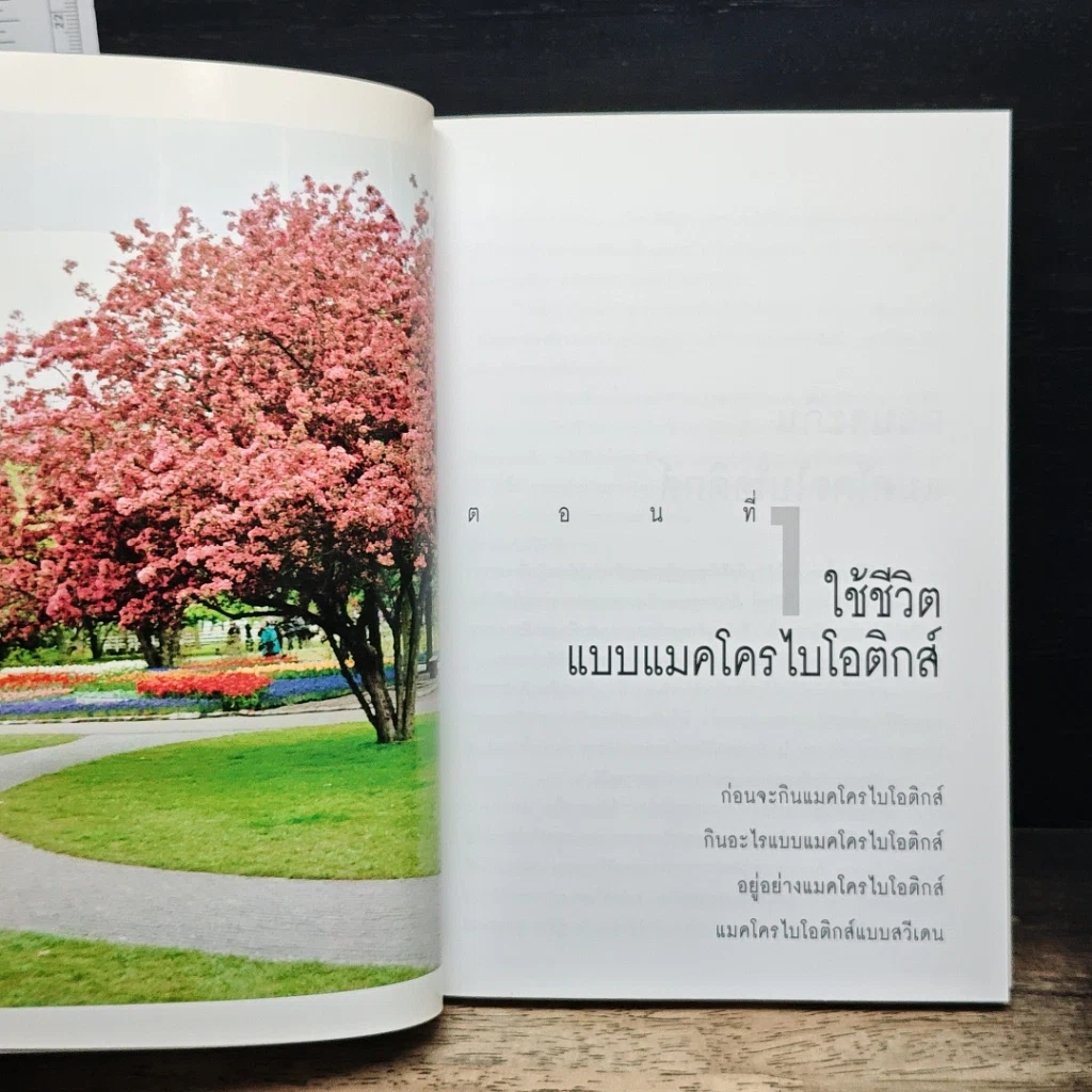 Macrobiotics แมคโครไบโอติกส์ รูปที่ 8