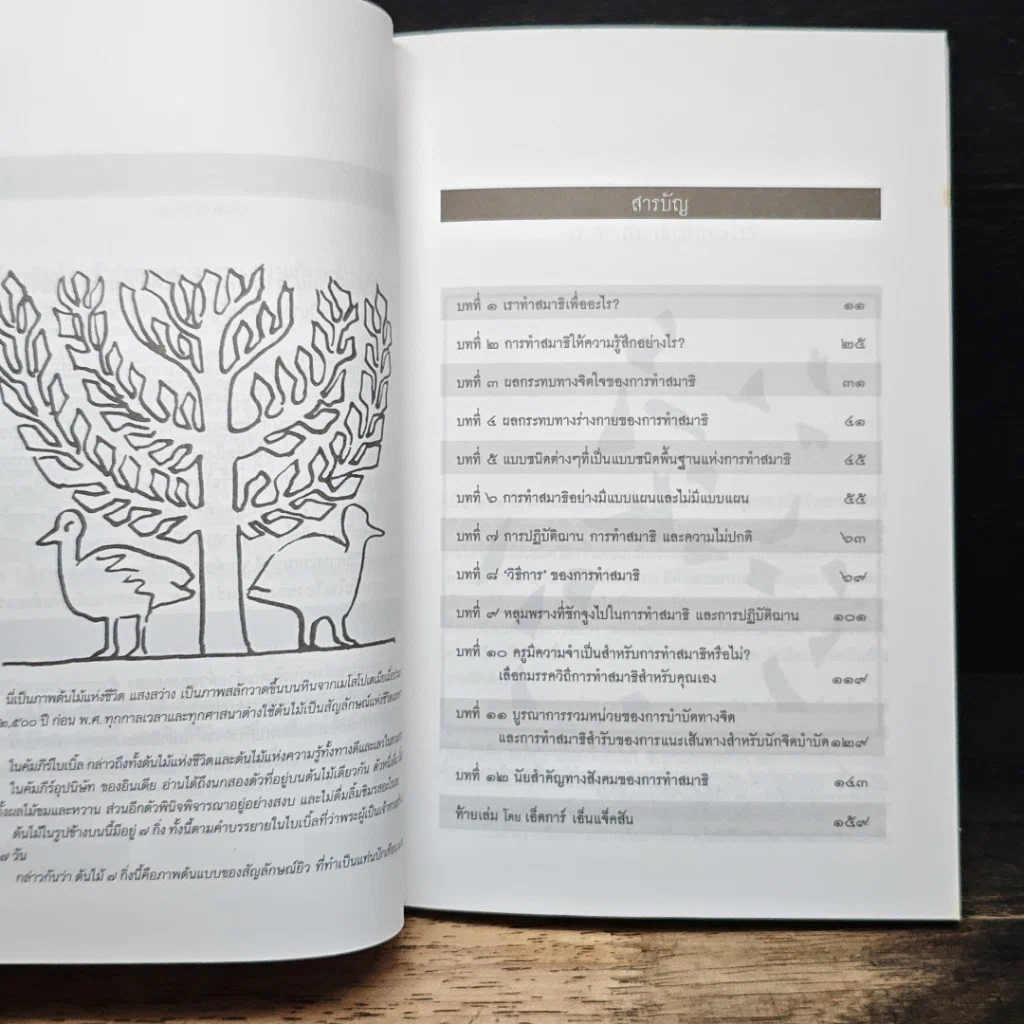 วิธีการทำสมาธิ Book of Meditations รูปที่ 7