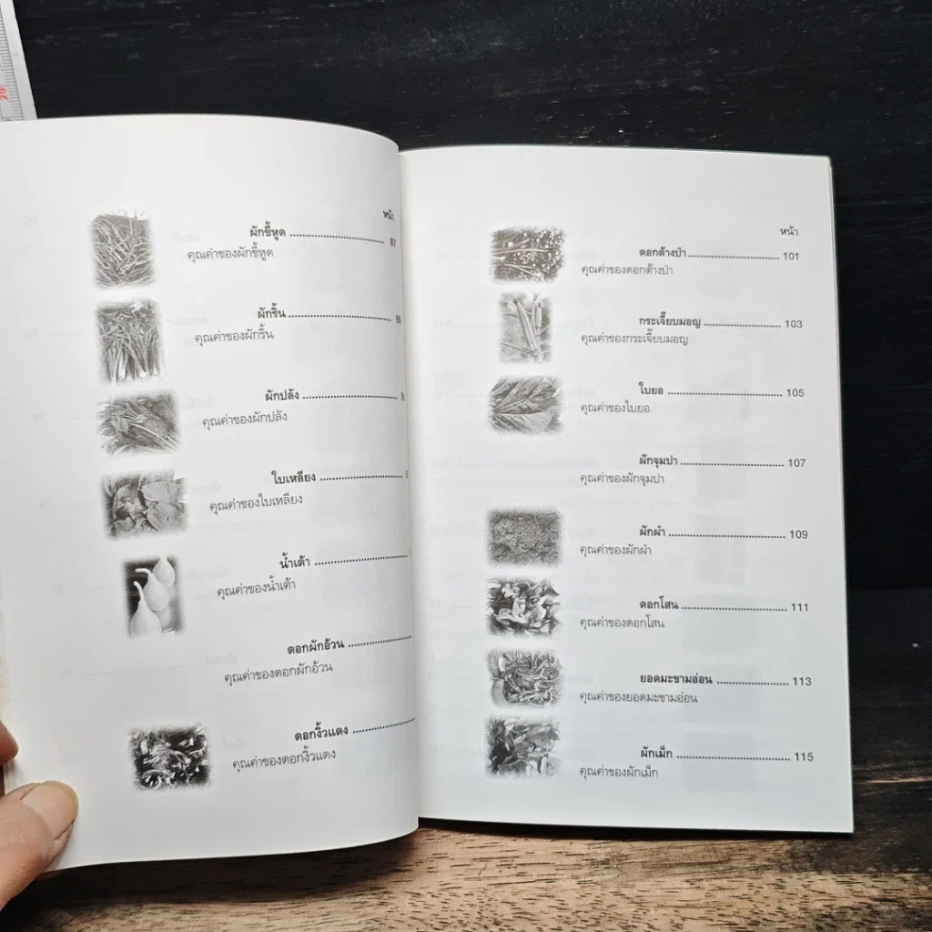 หนังสือ อาหารธรรมชาติผักพื้นเมืองโภชนาการสูงเหลือเชื่อ รูปที่ 8