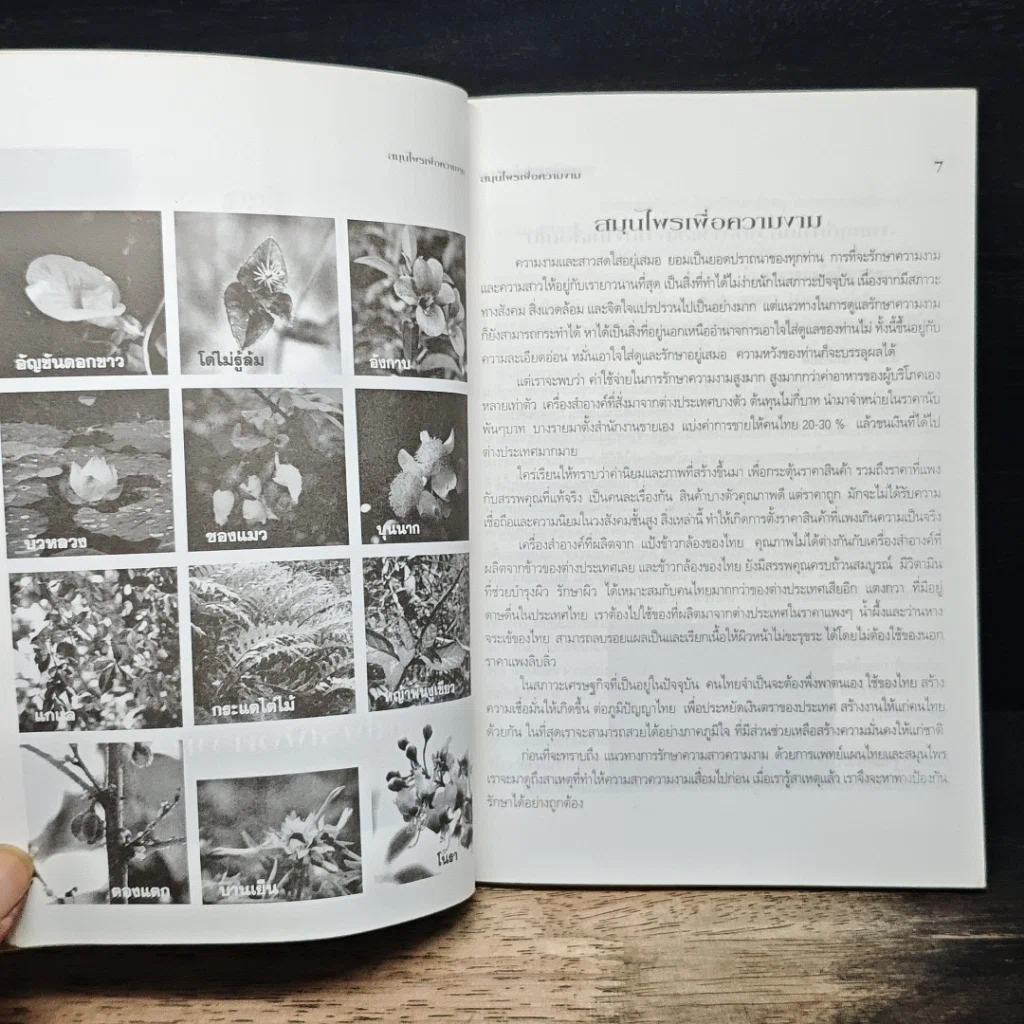 หนังสือ สมุนไพรเพื่อความงาม รูปที่ 7